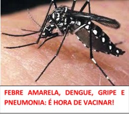 dengue_banner